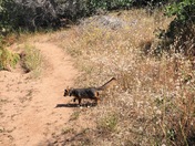 Channel Islands National Park