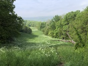Vanderbilt Mansion National Historic Site