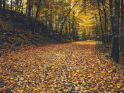 Sharbot Lake Provincial Park