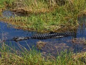 Everglades National Park