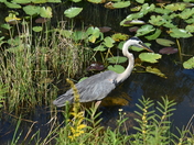Everglades National Park