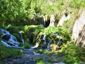 Black Hills National Forest