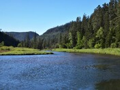 Black Hills National Forest