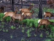 Rocky Mountain National Park