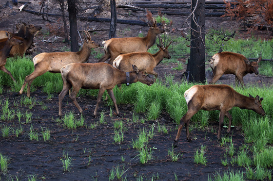Rocky Mountain National Park