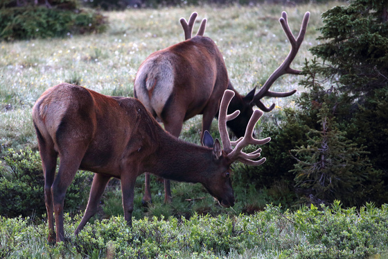 Rocky Mountain National Park
