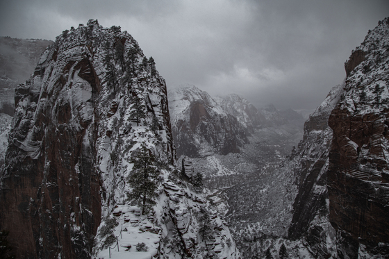 Zion National Park