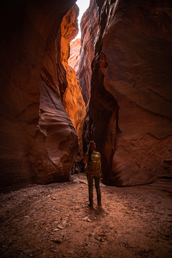 Paria Canyon 