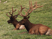 Rocky Mountain National Park