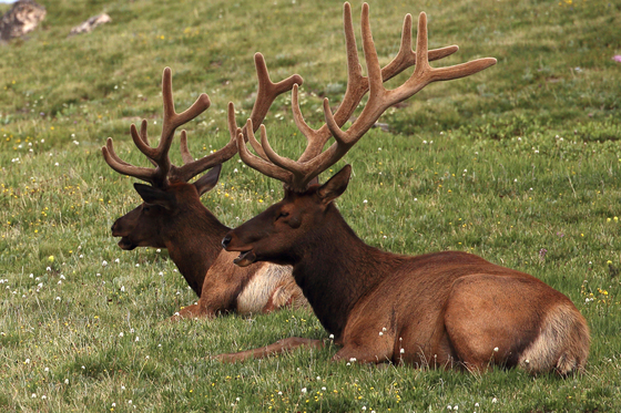 Rocky Mountain National Park