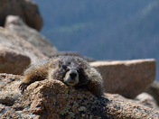 Rocky Mountain National Park