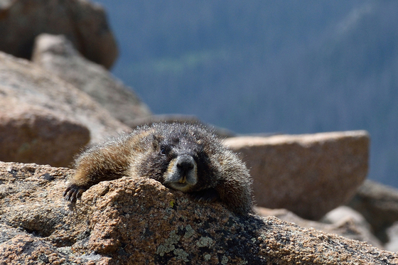 Rocky Mountain National Park