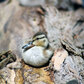 Next upload