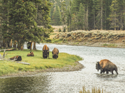 Yellowstone National Park 