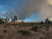 Joshua Tree National Park