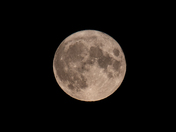 Closeup of the full moon