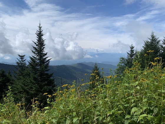 Smoky Mountain National Park
