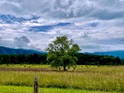 Great Smoky Mountains National Park