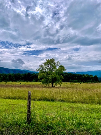 Great Smoky Mountains National Park