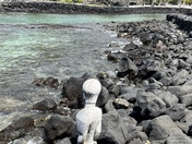 Pu’uhonua O Honaunau National Historic Park