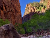 Zion National Park 