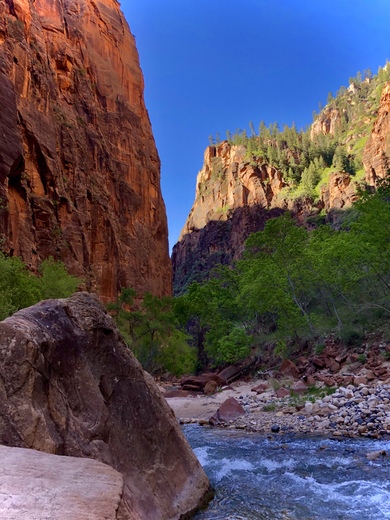 Zion National Park 