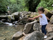 Smoky Mountains National Park
