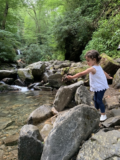 Smoky Mountains National Park