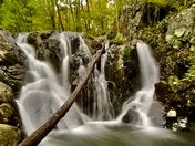 Shenandoah National Park