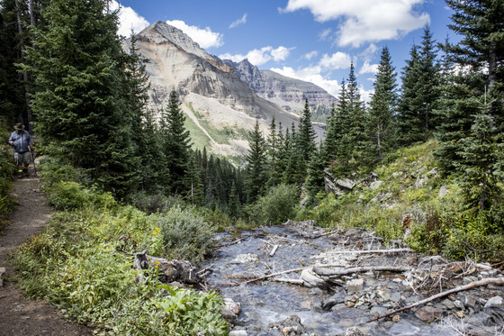 San Juan National Forest