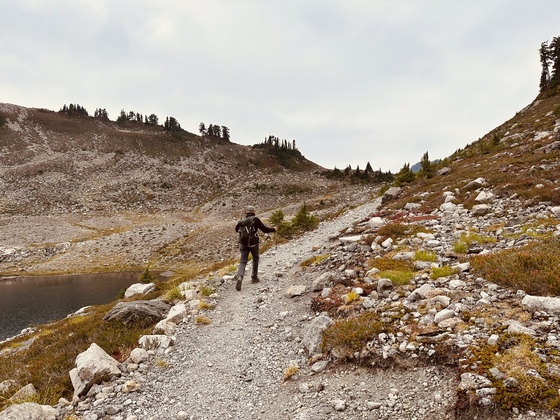 My. Baker-Snoqualmie National Forest 