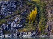 Glacier Bay National Park