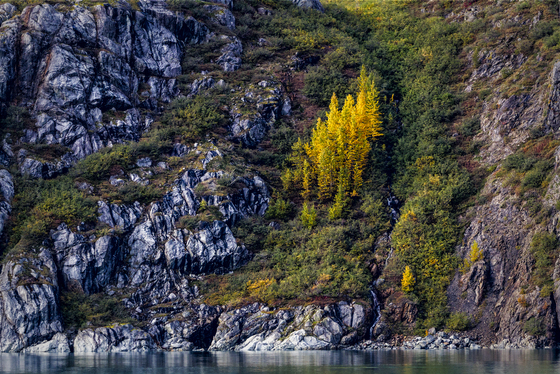 Glacier Bay National Park