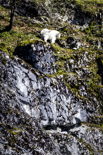 Glacier Bay National Park