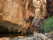 Zion National Park
