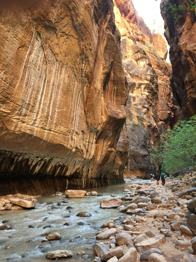 Zion National Park