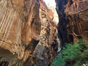 Zion National Park