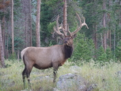 Rocky Mountain National Park