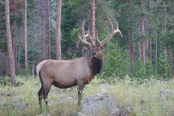 Rocky Mountain National Park