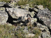 Rocky Mountain National Park