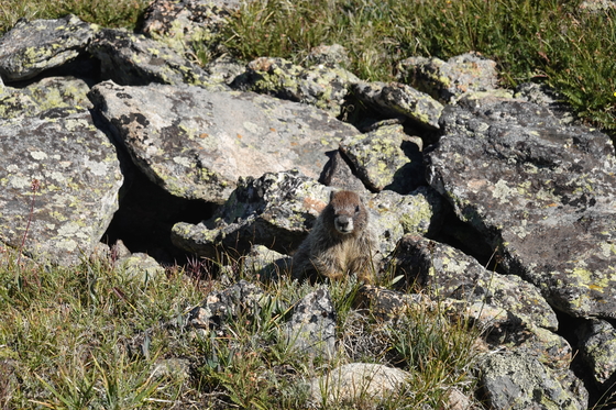 Rocky Mountain National Park