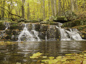 Shenandoah National Park