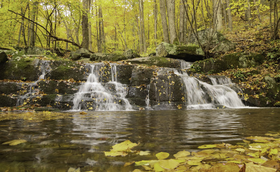 Shenandoah National Park