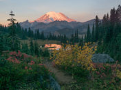Mt. Rainier National Park