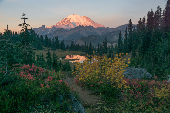 Mt. Rainier National Park