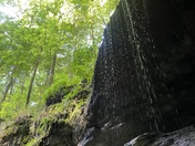 Mammoth Cave National Park