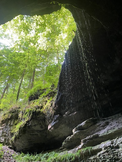 Mammoth Cave National Park