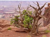 Canyonlands National Park