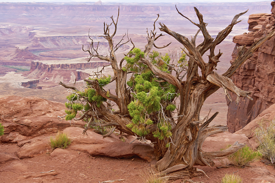 Canyonlands National Park
