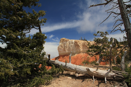 Bryce Canyon